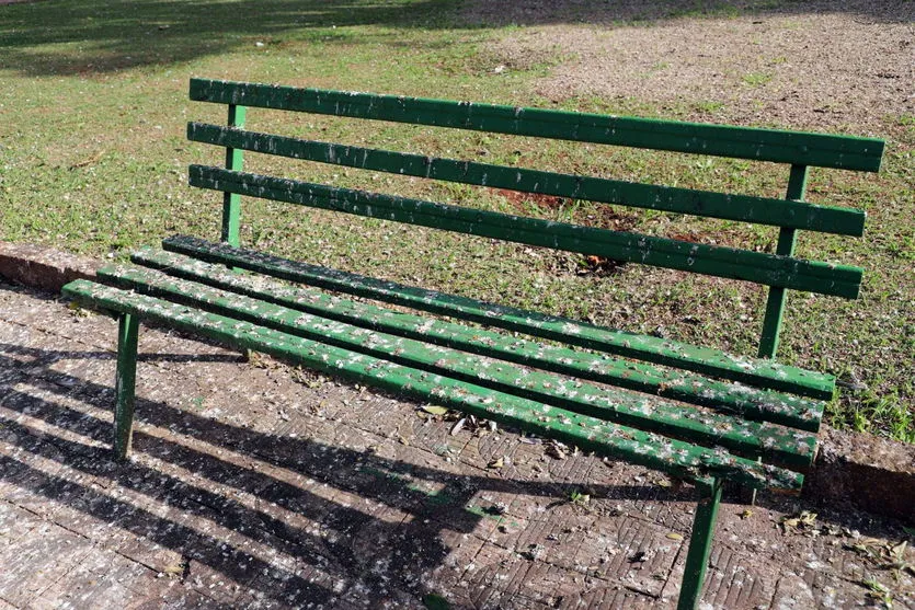 Apucarana busca solução ambiental para praças