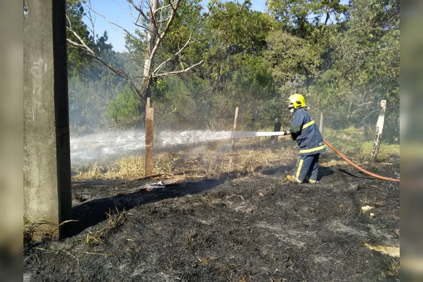 Árvore cai com vento, atinge poste e provoca incêndio