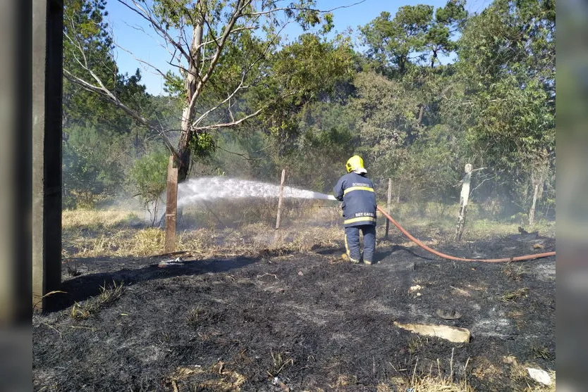 Árvore cai com vento, atinge poste e provoca incêndio