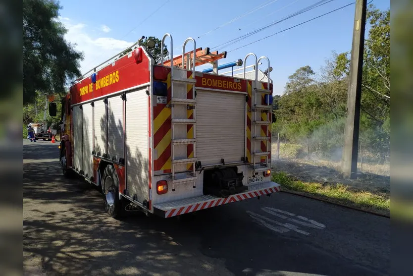 Árvore cai com vento, atinge poste e provoca incêndio