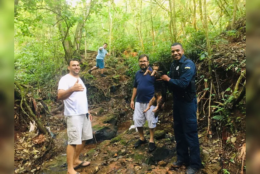 Cachorro preso em córrego é resgatado pela Guarda Municipal