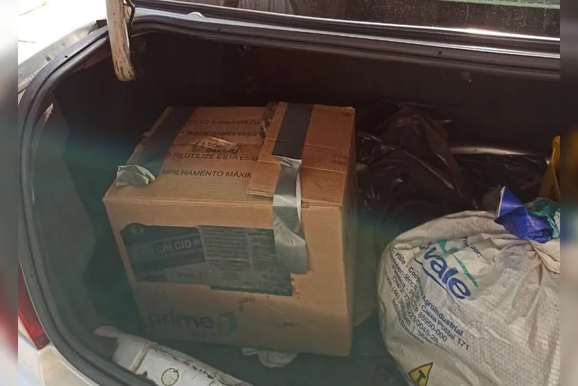 Casal é preso por manter cachorro em caixa dentro do carro