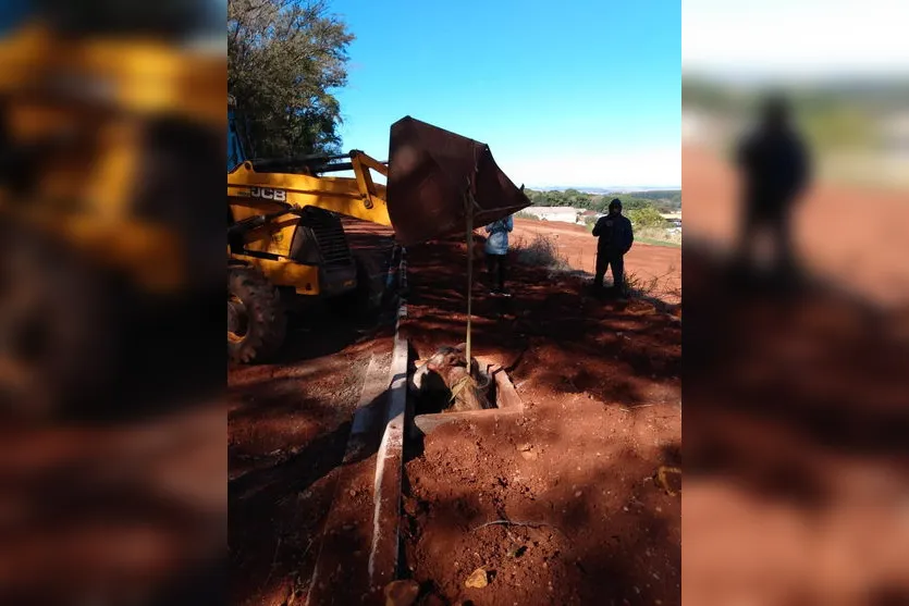 Cavalo cai em bueiro aberto e fica apenas com as patas traseiras para fora  - Gerais - Estado de Minas