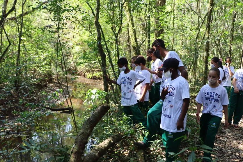 Cerca de 200 crianças  conhecem a  Estação Ecológica Faian