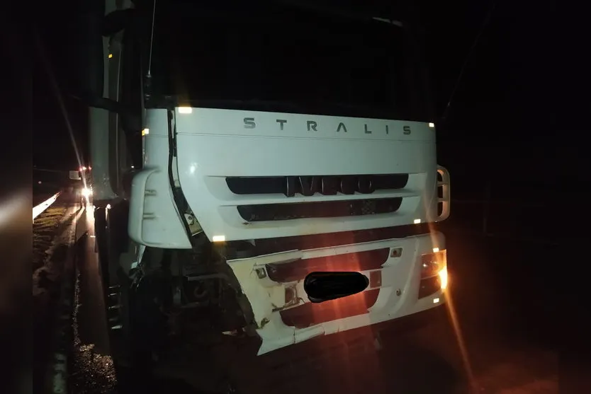 Égua prenha e filhote morrem atropelados na BR-376