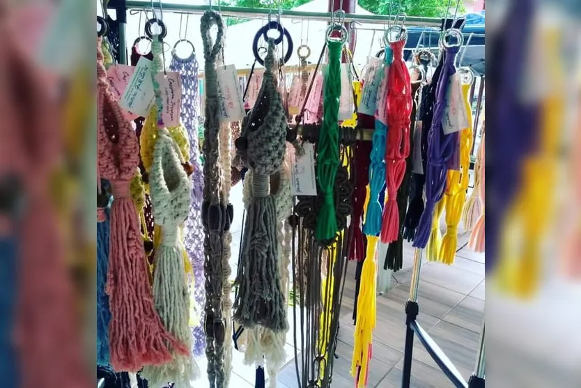 Espaço Mulher realiza feira de suculentas em Apucarana