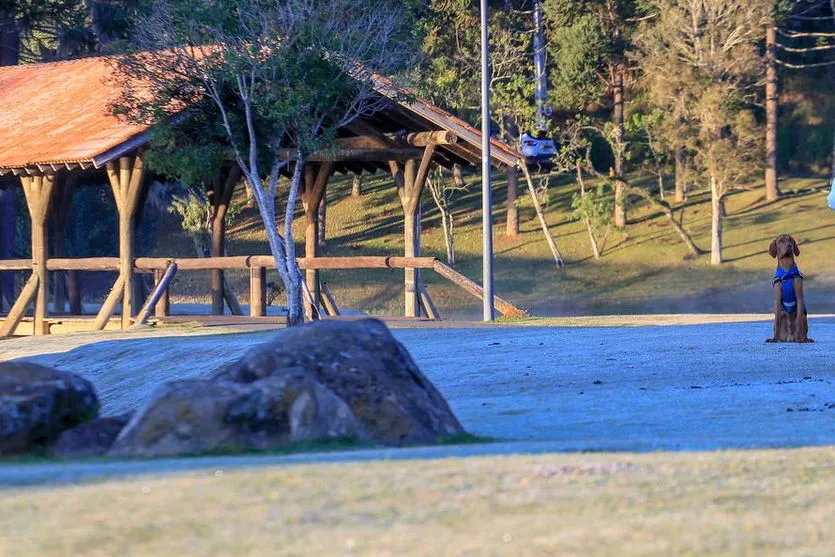 Estado reforça apoio aos municípios na luta contra o frio