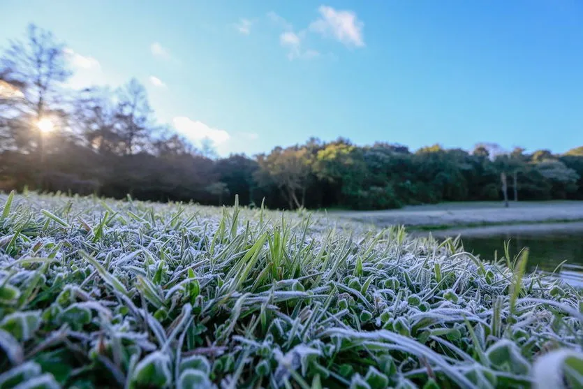Estado reforça apoio aos municípios na luta contra o frio