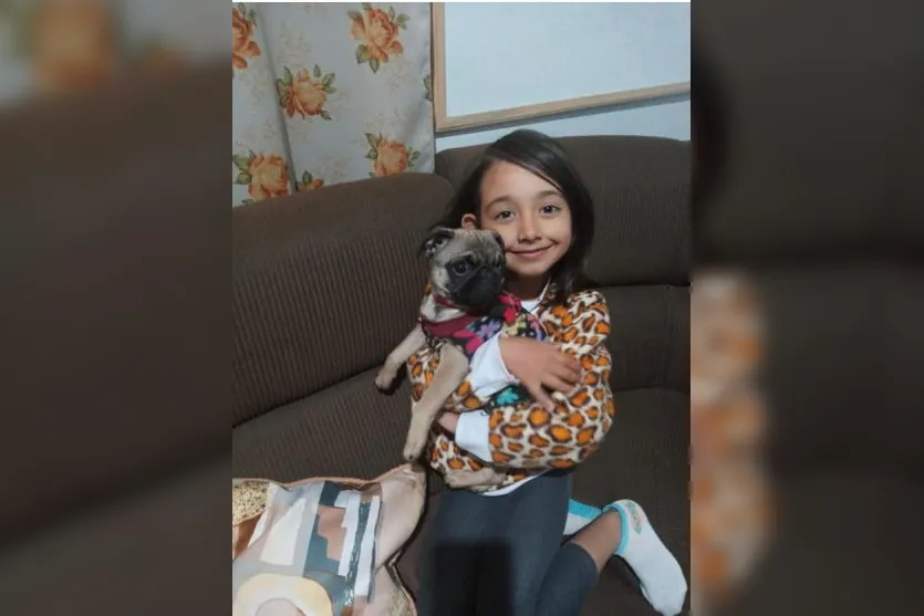 Família de Arapongas encontra cachorra desaparecida em Mauá