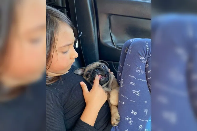 Família pede ajuda para encontrar cachorra de estimação