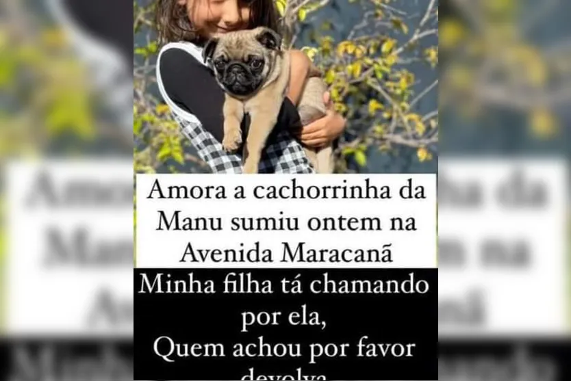 Família pede ajuda para encontrar cachorra de estimação