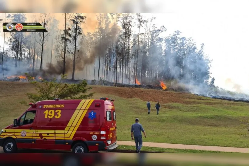 Família que morreu em queda de avião é velada nesta quarta