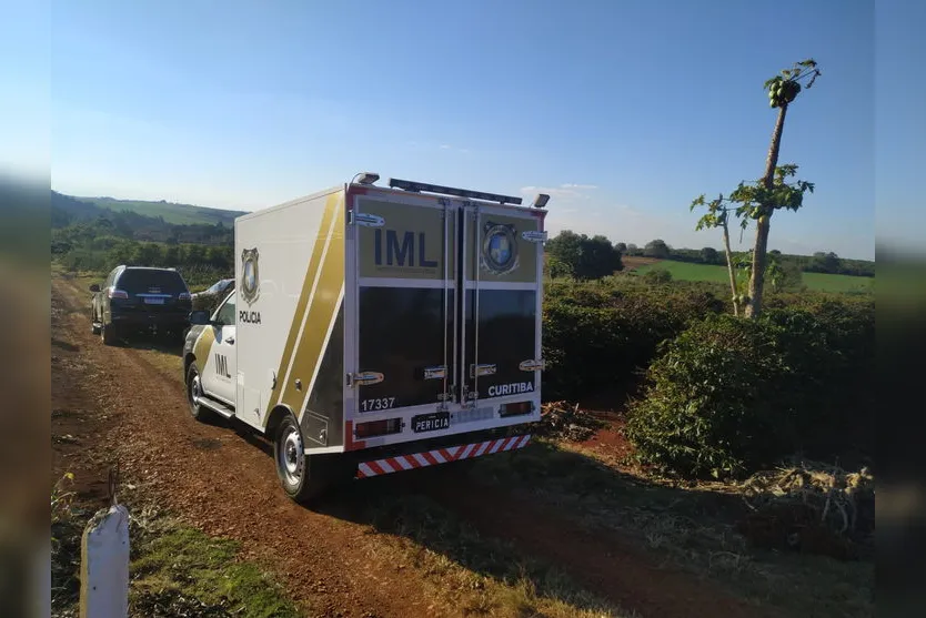 Fragmentos de ossos são encontrados em chácara de Apucarana
