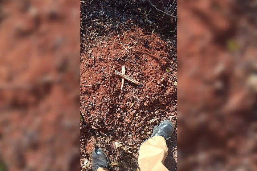 Fragmentos de ossos são encontrados em chácara de Apucarana