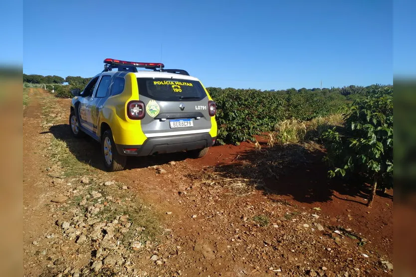 Fragmentos de ossos são encontrados em chácara de Apucarana