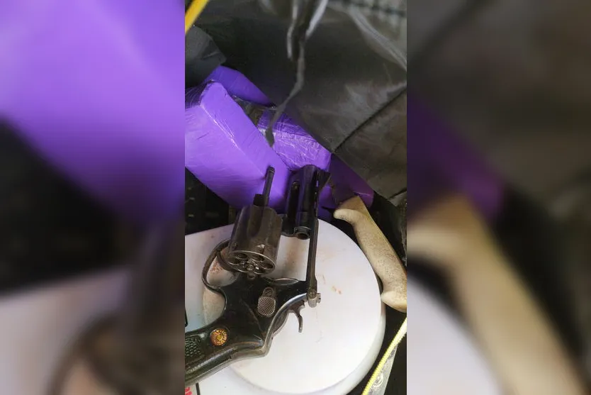 GAT apreende drogas e arma com apoio da cadela Dara