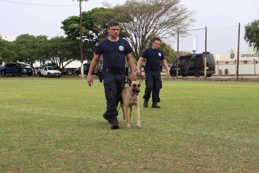 GMA realiza treinamento com cães em Arapongas