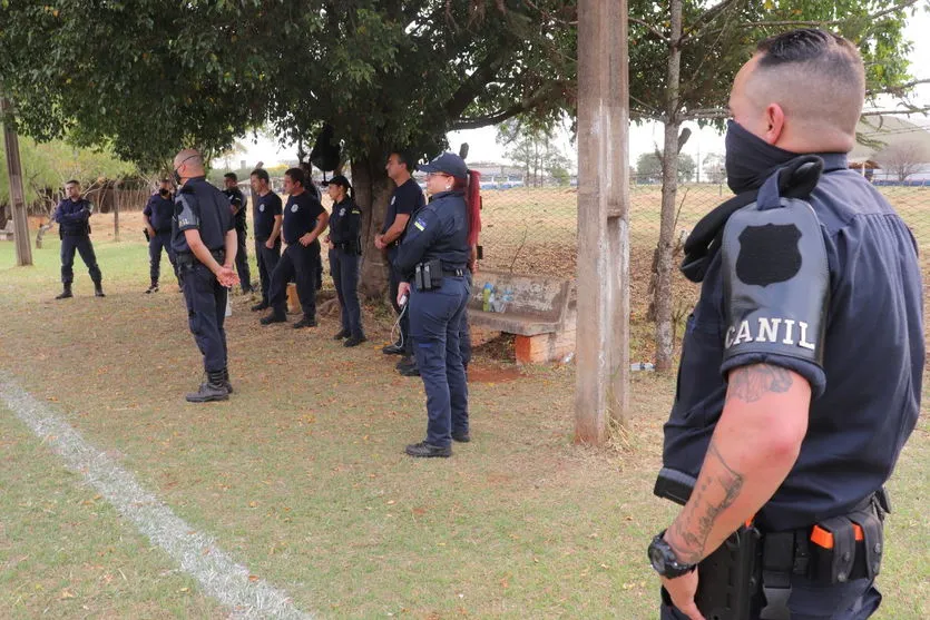 GMA realiza treinamento com cães em Arapongas