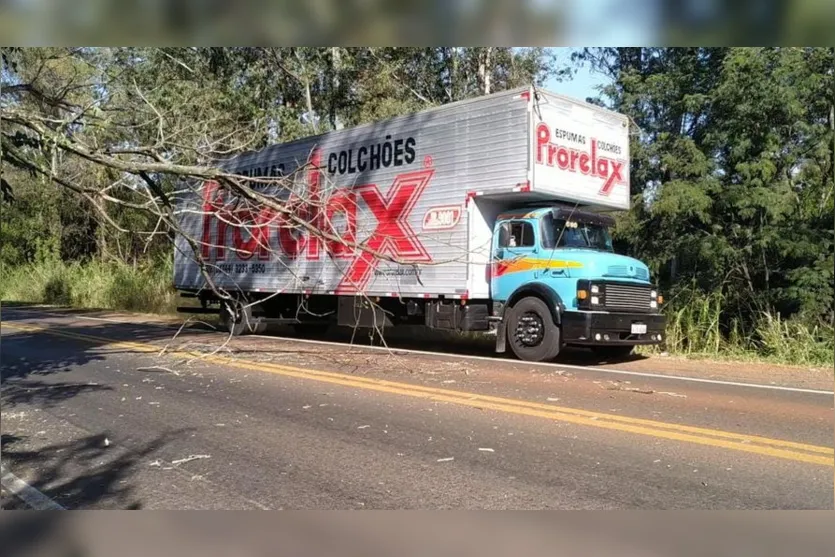 Galho quebrado compromete trânsito no Contorno Norte