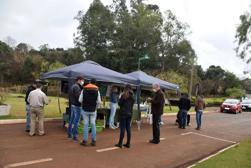 Ivaiporã realiza campanha Floresce Paraná; veja