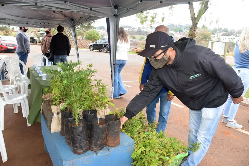 Ivaiporã realiza campanha Floresce Paraná; veja