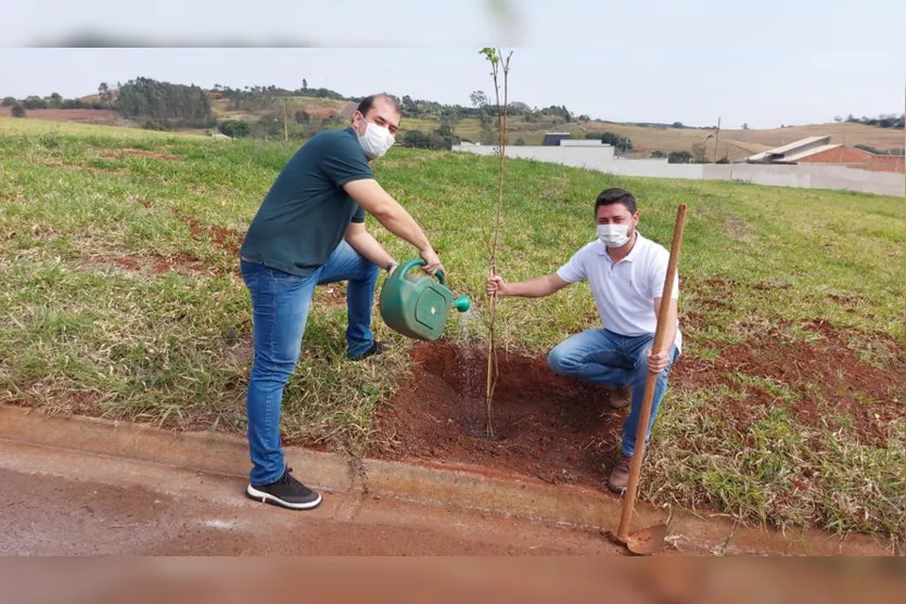 Jandaia do Sul realiza 'Campanha Floresce Paraná'
