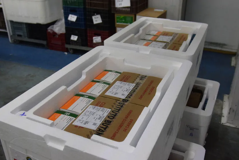 Lote com 366.300 doses de vacinas contra covid chega ao PR