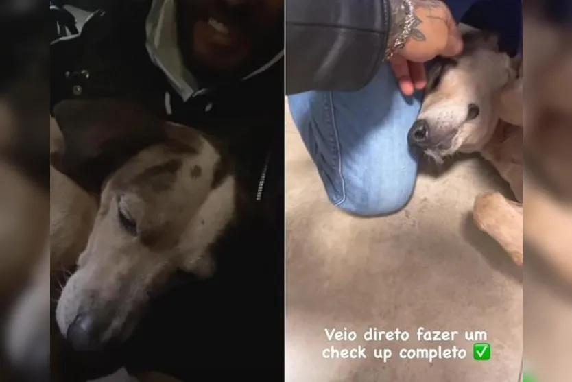 Lucas Lucco adota cachorro abandonado em posto de gasolina