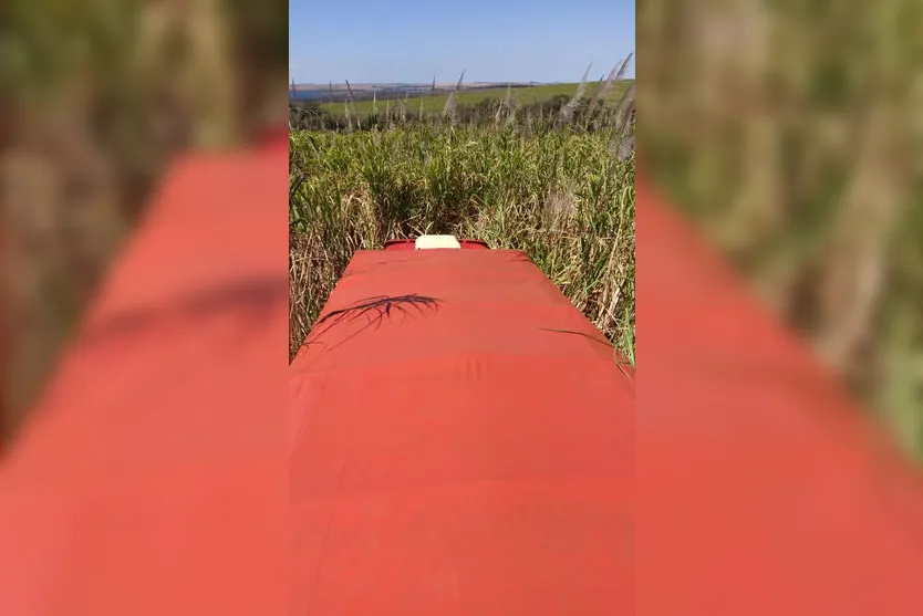 PF prende homem que transportava cigarros contrabandeados