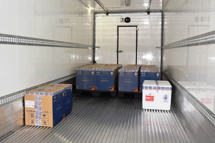 PR recebe mais 279,2 mil vacinas contra a Covid-19