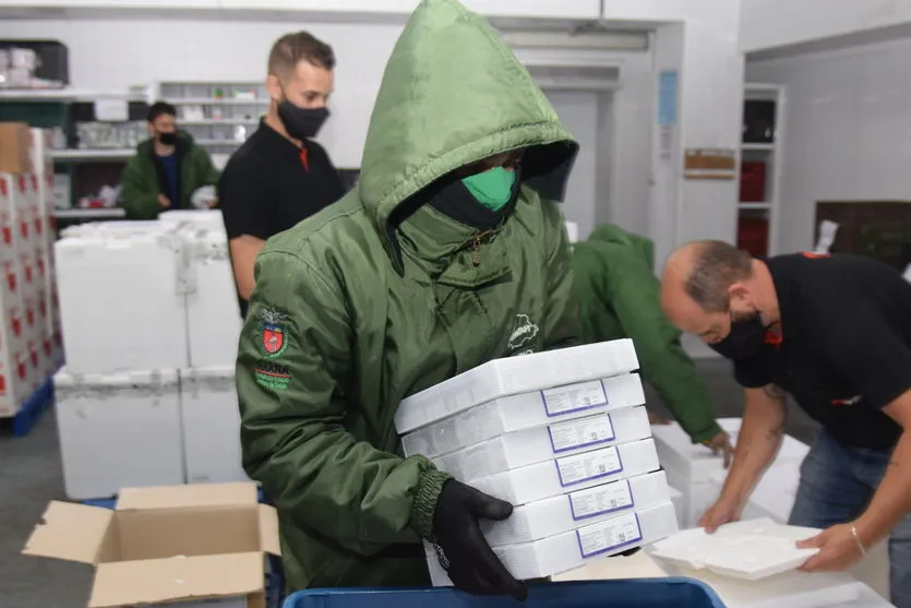PR recebe mais 303 mil vacinas contra Covid para 1ª dose