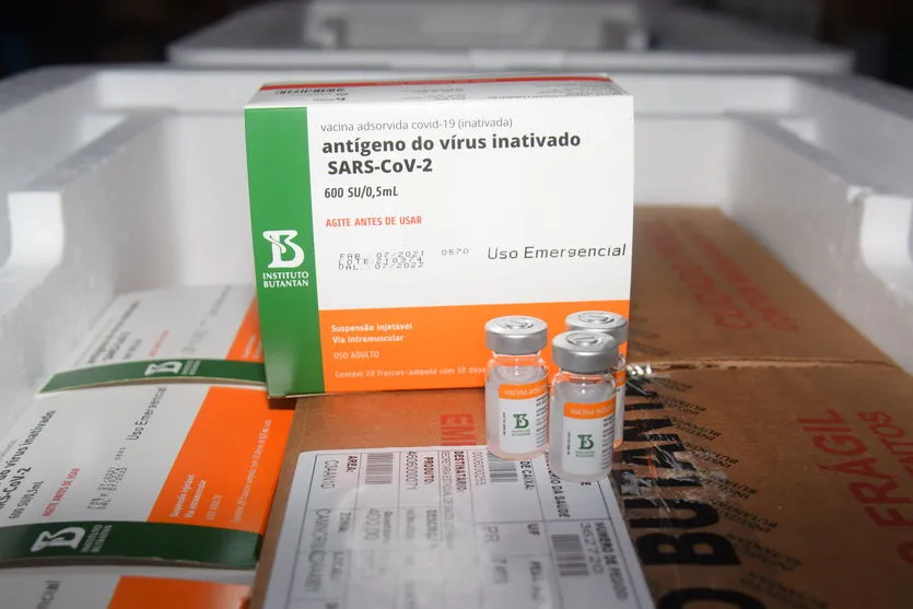 Paraná recebe mais 240,9 mil vacinas contra Covid-19