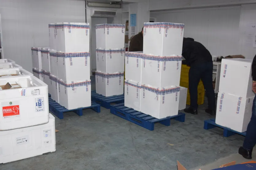 Paraná recebe mais 240,9 mil vacinas contra Covid-19