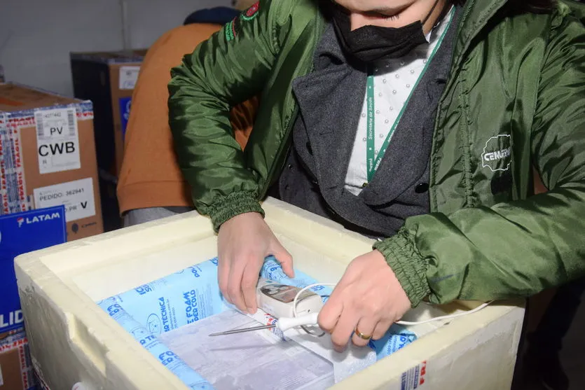 Paraná recebe mais de 127 mil vacinas contra a Covid-19