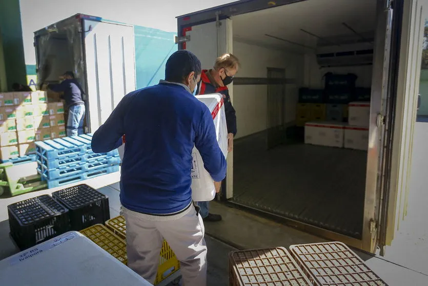 Paraná receberá mais 187.470 vacinas contra a Covid-19