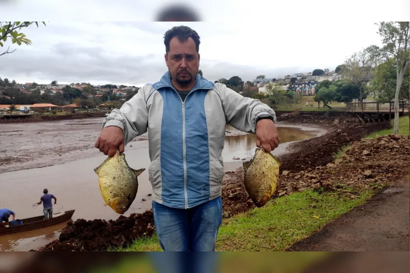 Quase meia tonelada de piranhas é removida de lago no PR