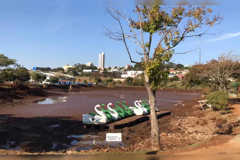 Quase meia tonelada de piranhas é removida de lago no PR