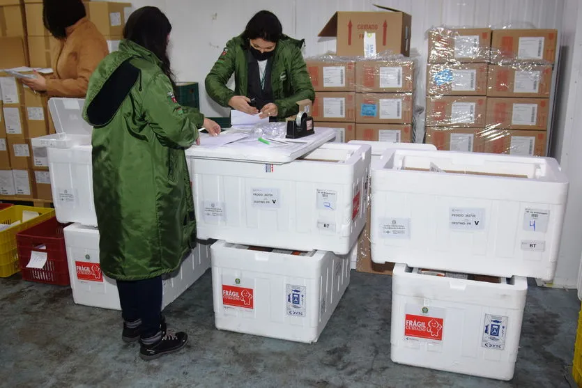 Região recebe mais 12. 850 vacinas contra Covid