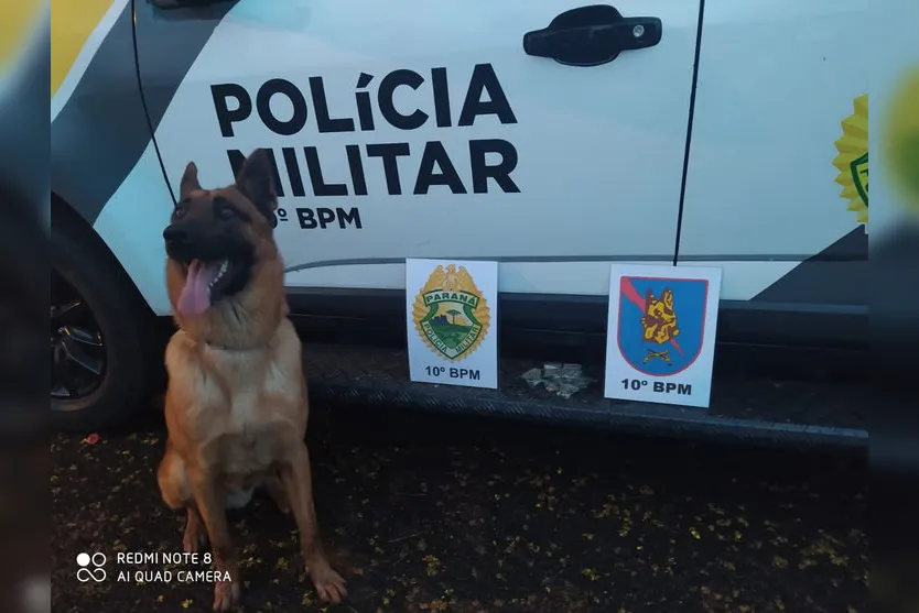 Rocam prende traficante em Apucarana e apreende maconha