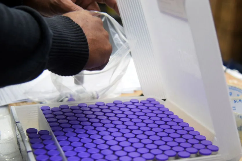 16ª RS de Apucarana recebe mais 10.943 doses de vacina