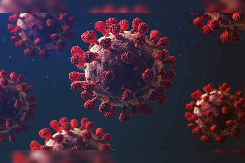 Apucarana registra queda de óbitos e casos de coronavírus