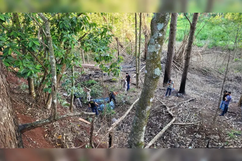 Cadáver encontrado em Apucarana é identificado; Assista