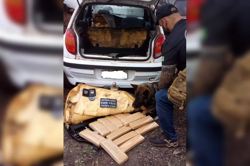 Cão da polícia encontra maconha em carro apreendido