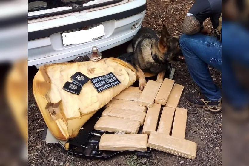 Cão da polícia encontra maconha em carro apreendido