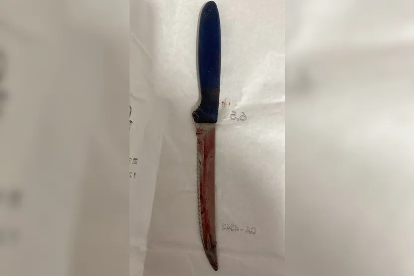 Cão é encontrado com faca de cozinha no corpo no Paraná