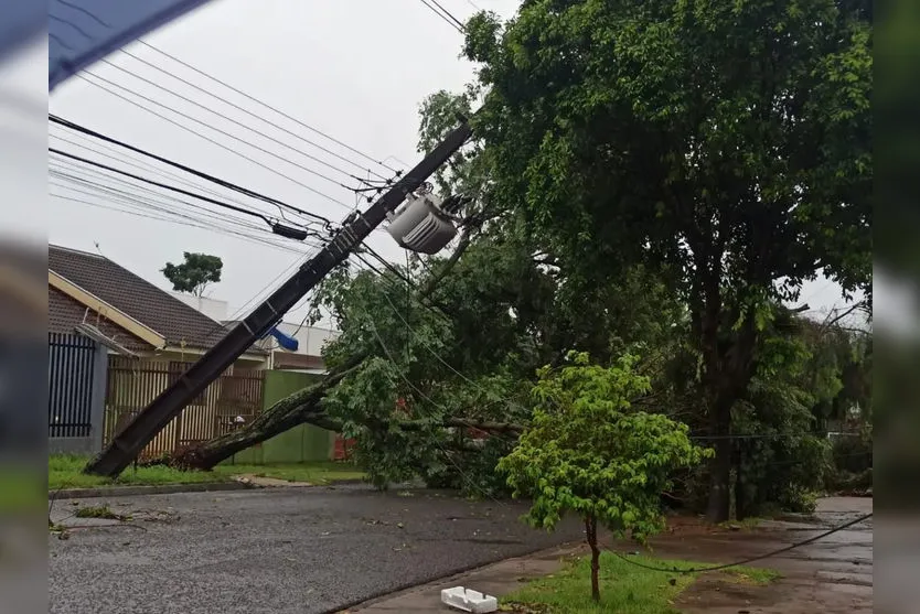  Chuva causa queda de árvore e poste de energia em Maringá 
