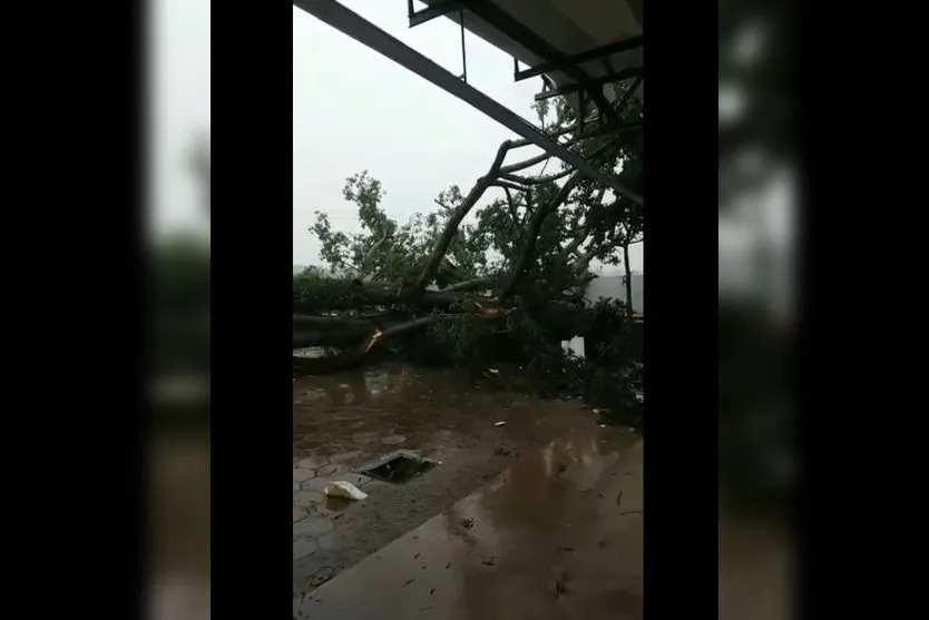 Chuva que passou pela região causou estragos; Veja