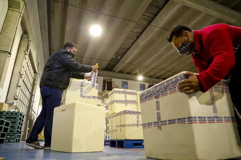 Doses exclusivas para adolescentes chegam ao Paraná