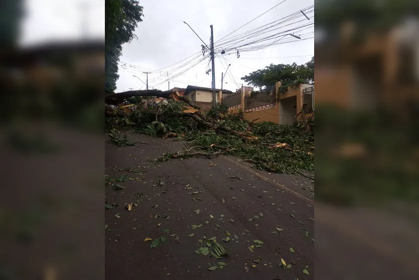 Forte vento deixa 3,4 mil domicílios sem luz em Apucarana
