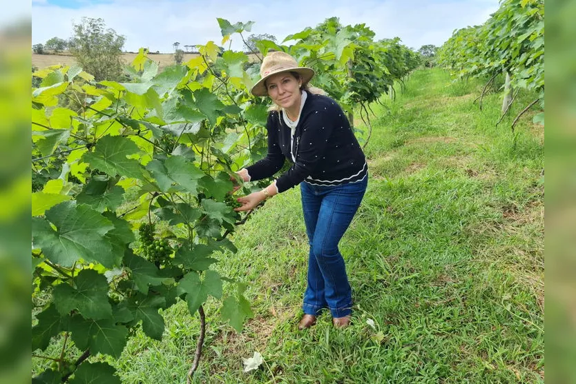 Ivaiporã oferece consultoria sobre produção orgânica